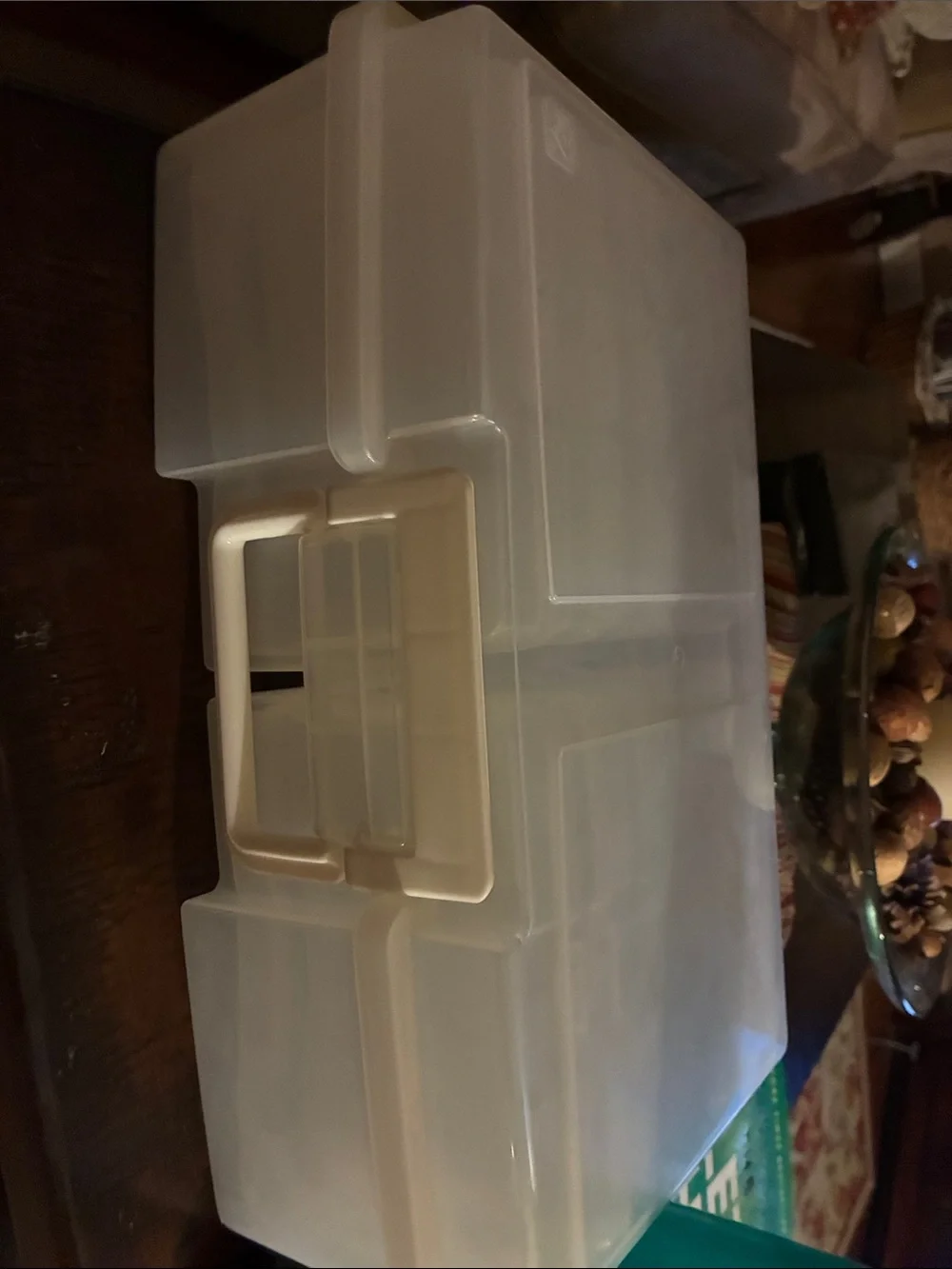 Clear Plastic Storage 4x6 photo Organizer Box with White Latch.
